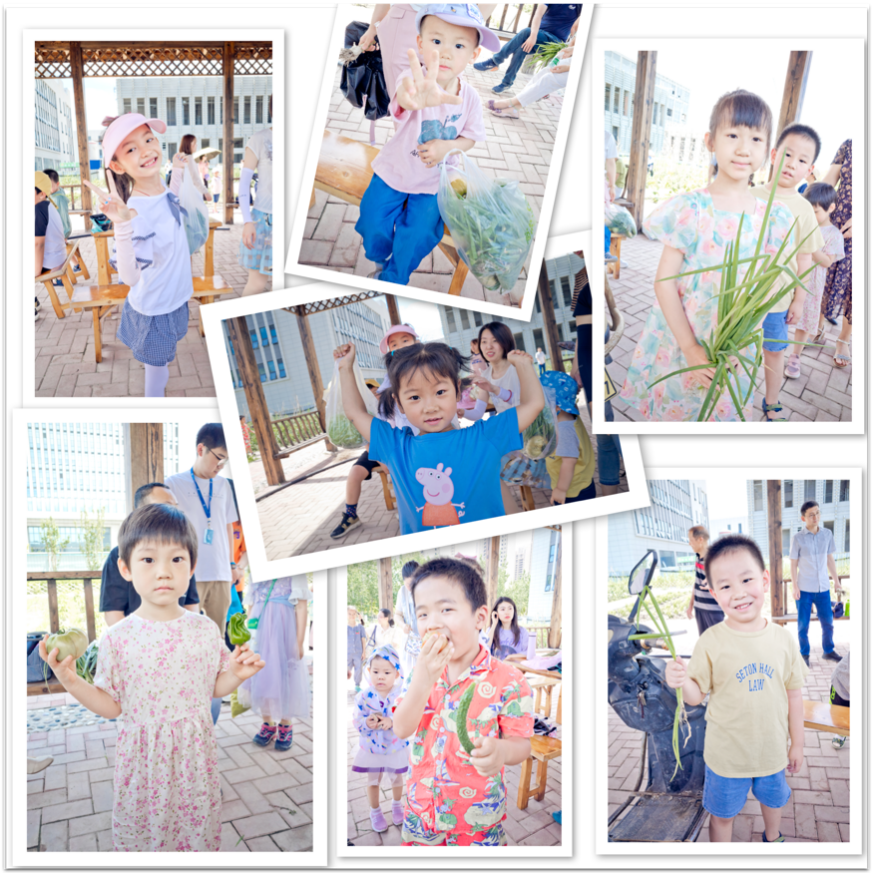 11f67f3c5e3e3356444164322800315